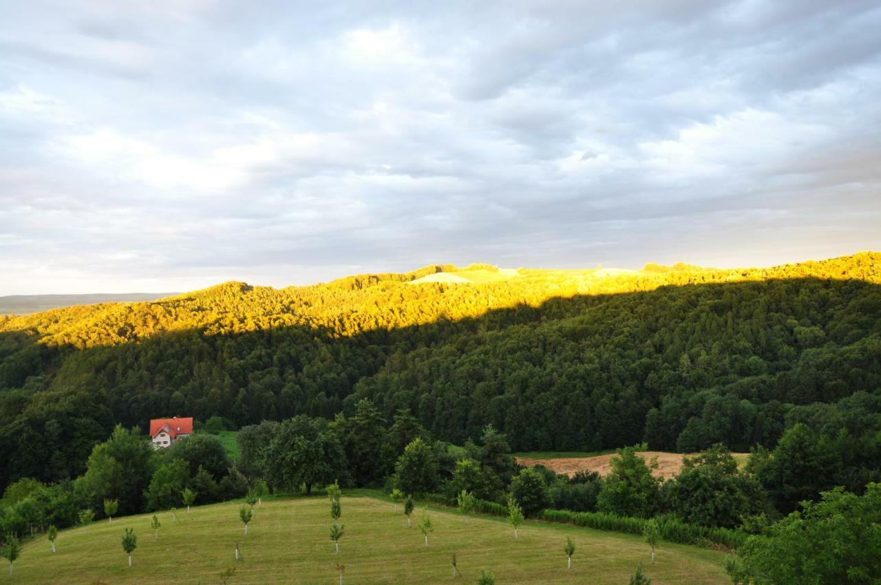 S' Kellerstoeckl Villa Loipersdorf bei Fuerstenfeld Luaran gambar