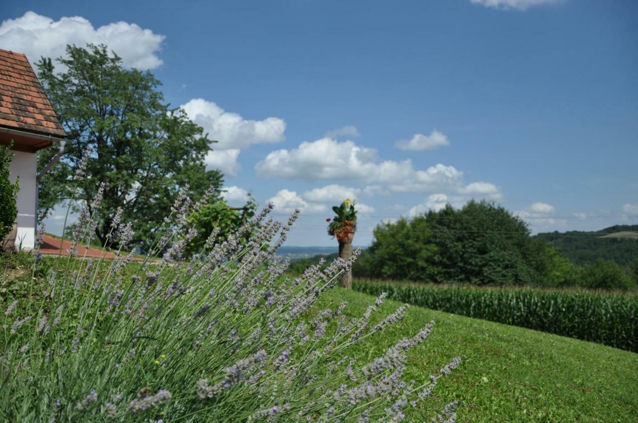 S' Kellerstoeckl Villa Loipersdorf bei Fuerstenfeld Luaran gambar