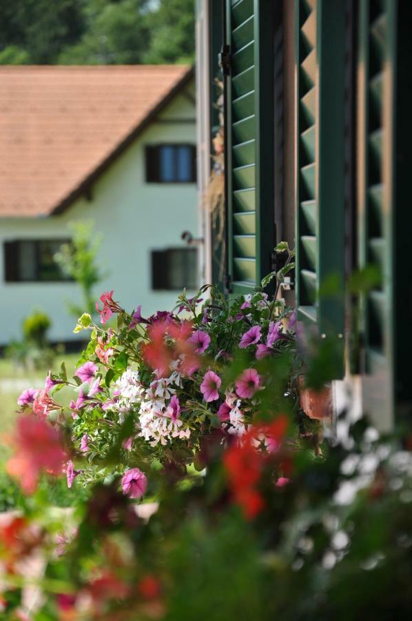 S' Kellerstoeckl Villa Loipersdorf bei Fuerstenfeld Luaran gambar