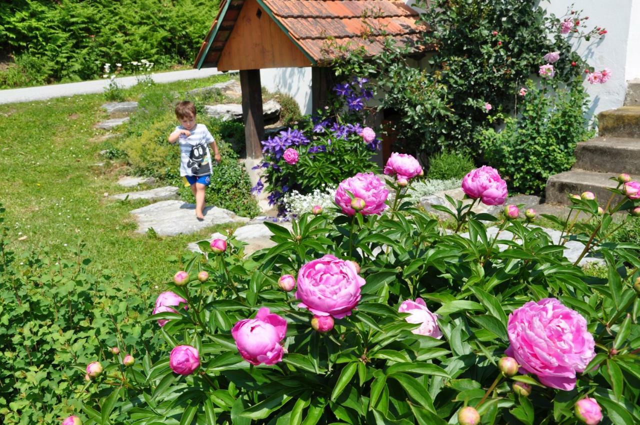 S' Kellerstoeckl Villa Loipersdorf bei Fuerstenfeld Luaran gambar